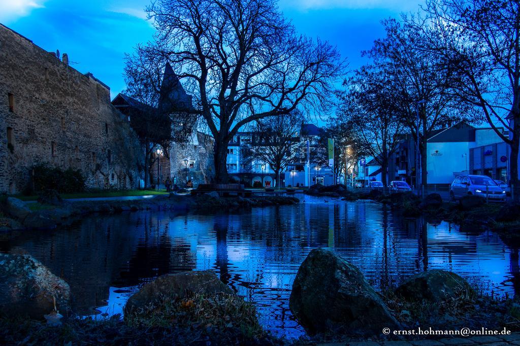Ferienwohnung Weber-Rolinger Andernach Exteriér fotografie